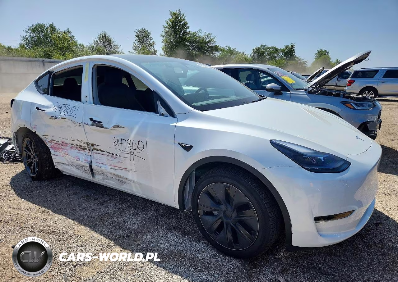 2025 Tesla Model Y VIN:7SAYGDEDXSF247860 - 4