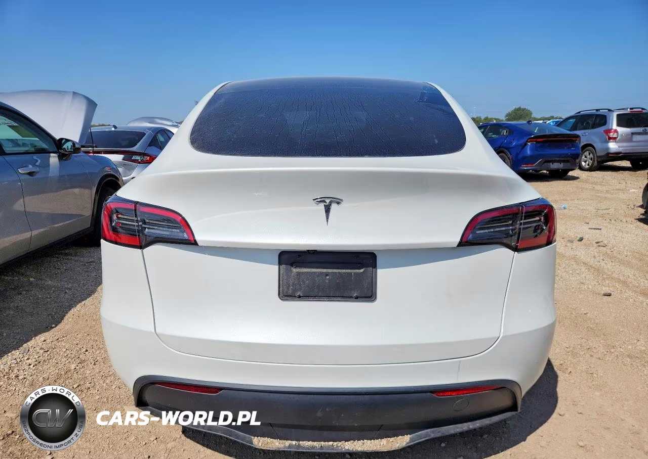 2025 Tesla Model Y VIN:7SAYGDEDXSF247860 - 6