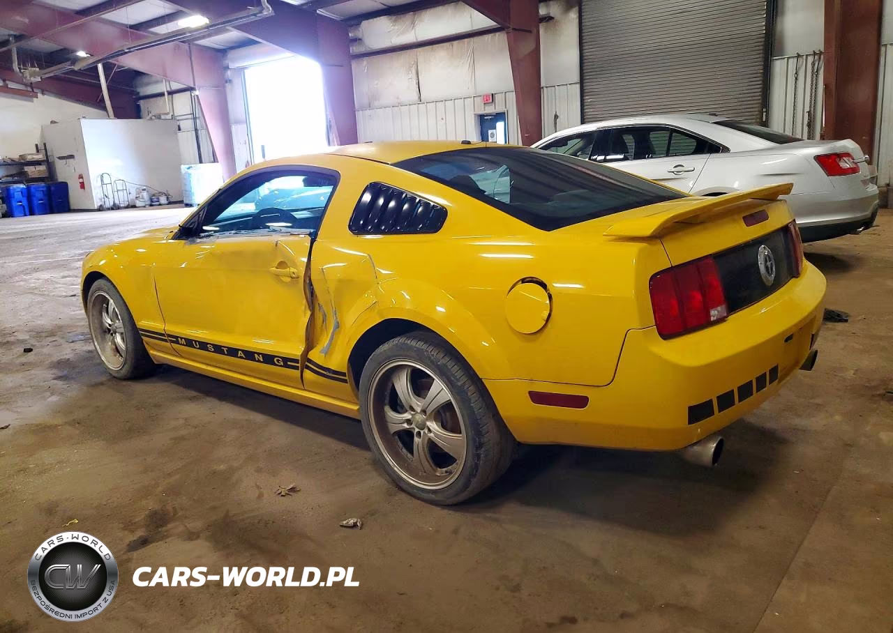 2005 Ford Mustang VIN:1ZVFT80N055142626 - 2
