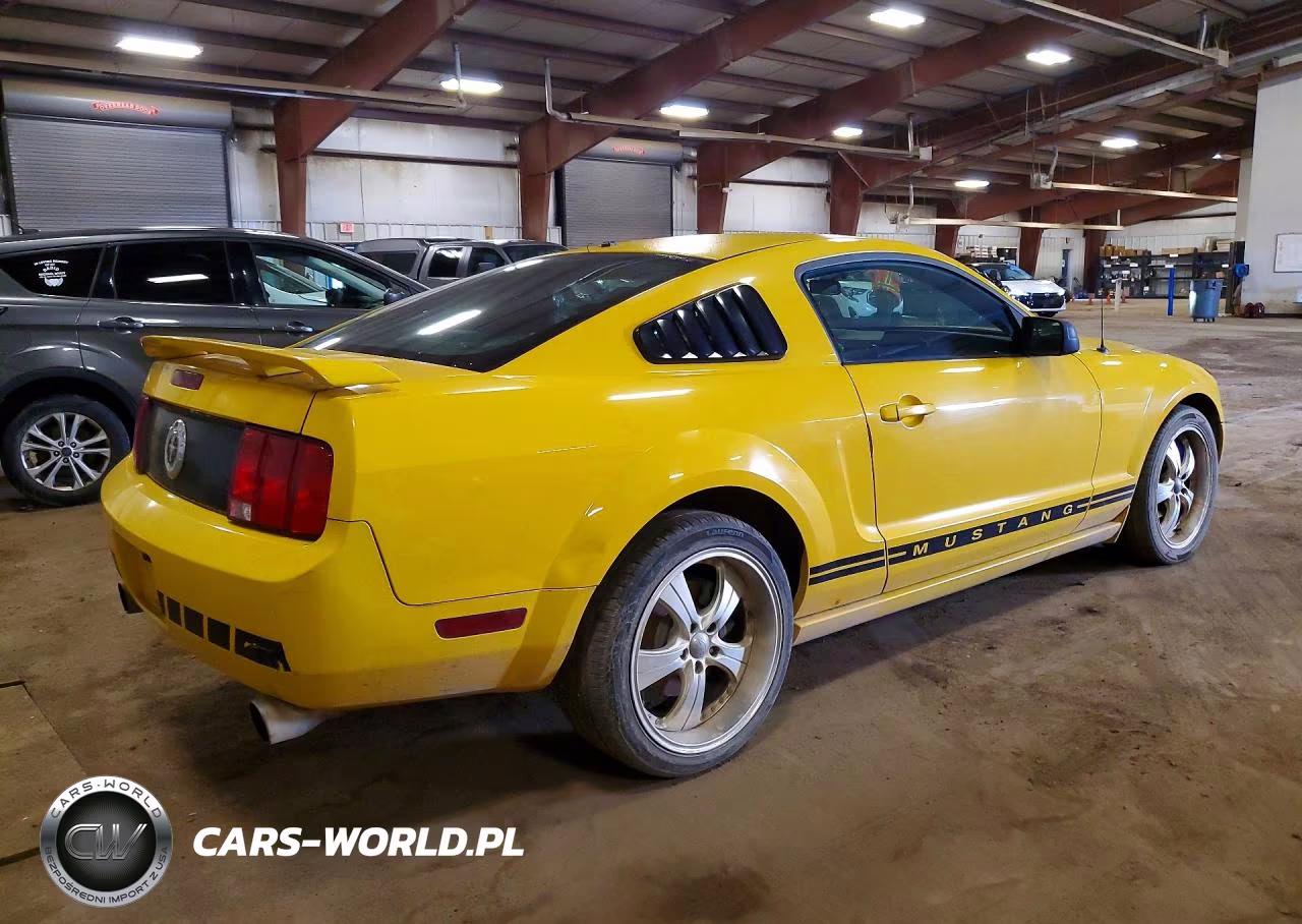 2005 Ford Mustang VIN:1ZVFT80N055142626 - 3