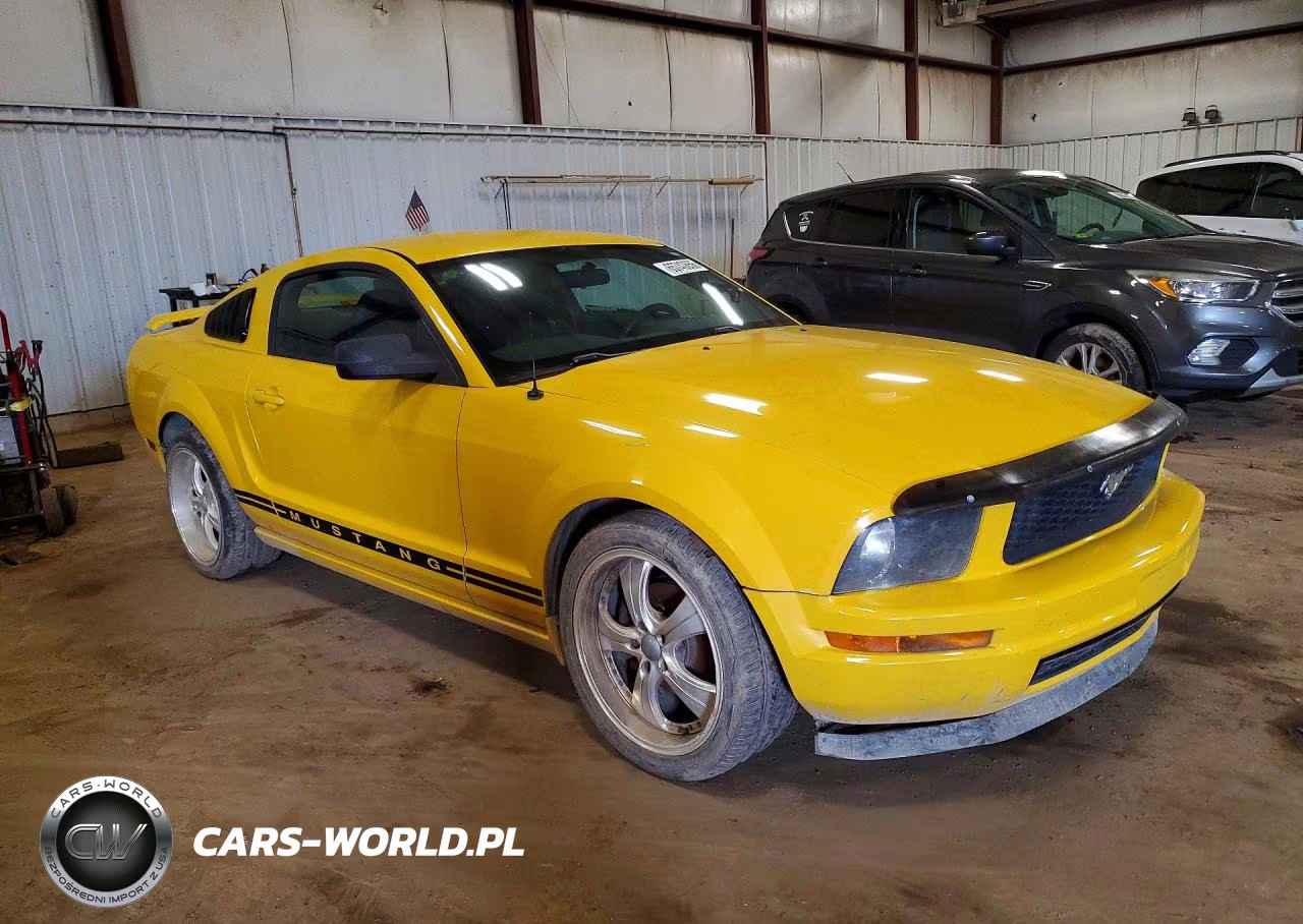 2005 Ford Mustang VIN:1ZVFT80N055142626 - 4