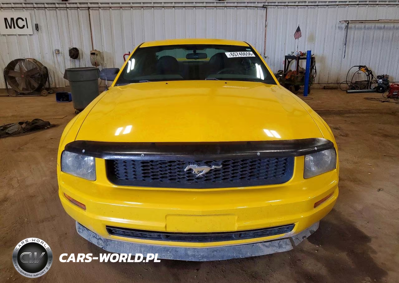 2005 Ford Mustang VIN:1ZVFT80N055142626 - 5