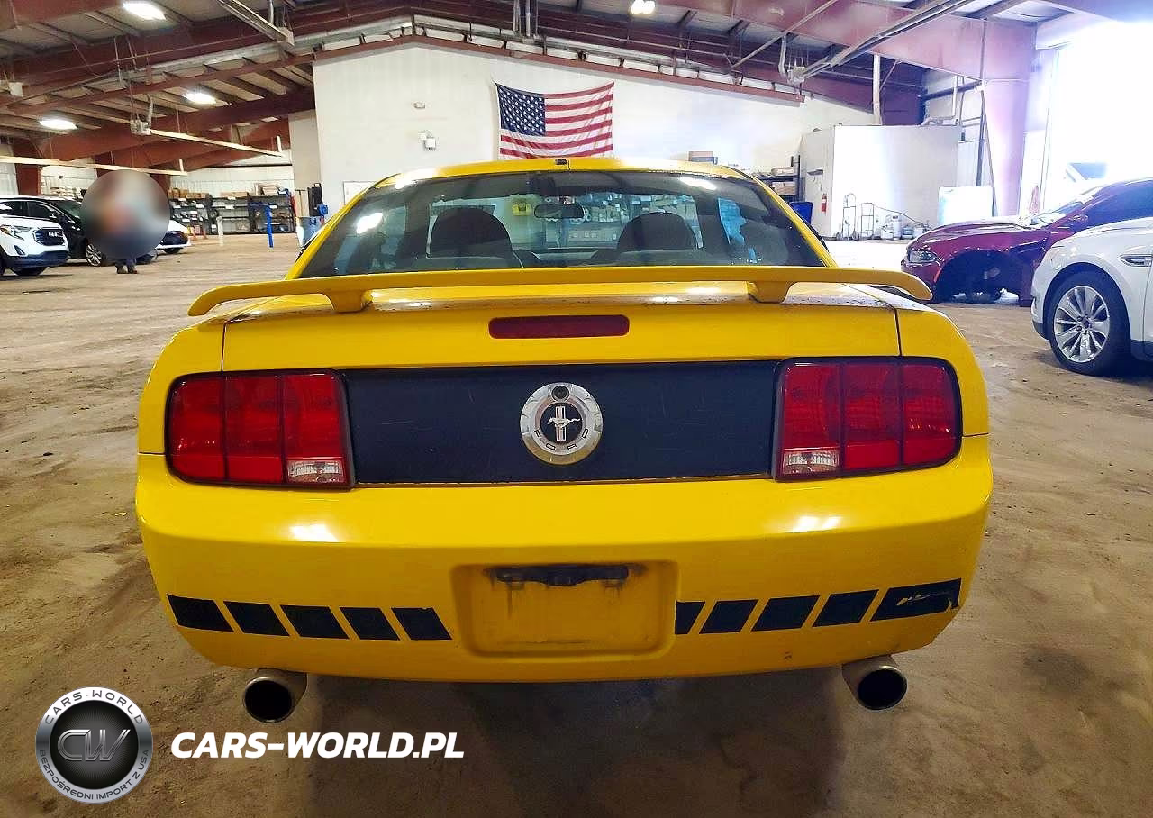 2005 Ford Mustang VIN:1ZVFT80N055142626 - 6