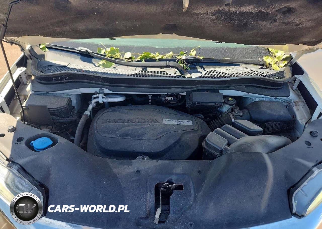 2020 Honda Pilot Exl VIN:5FNYF6H54LB058509 - 12