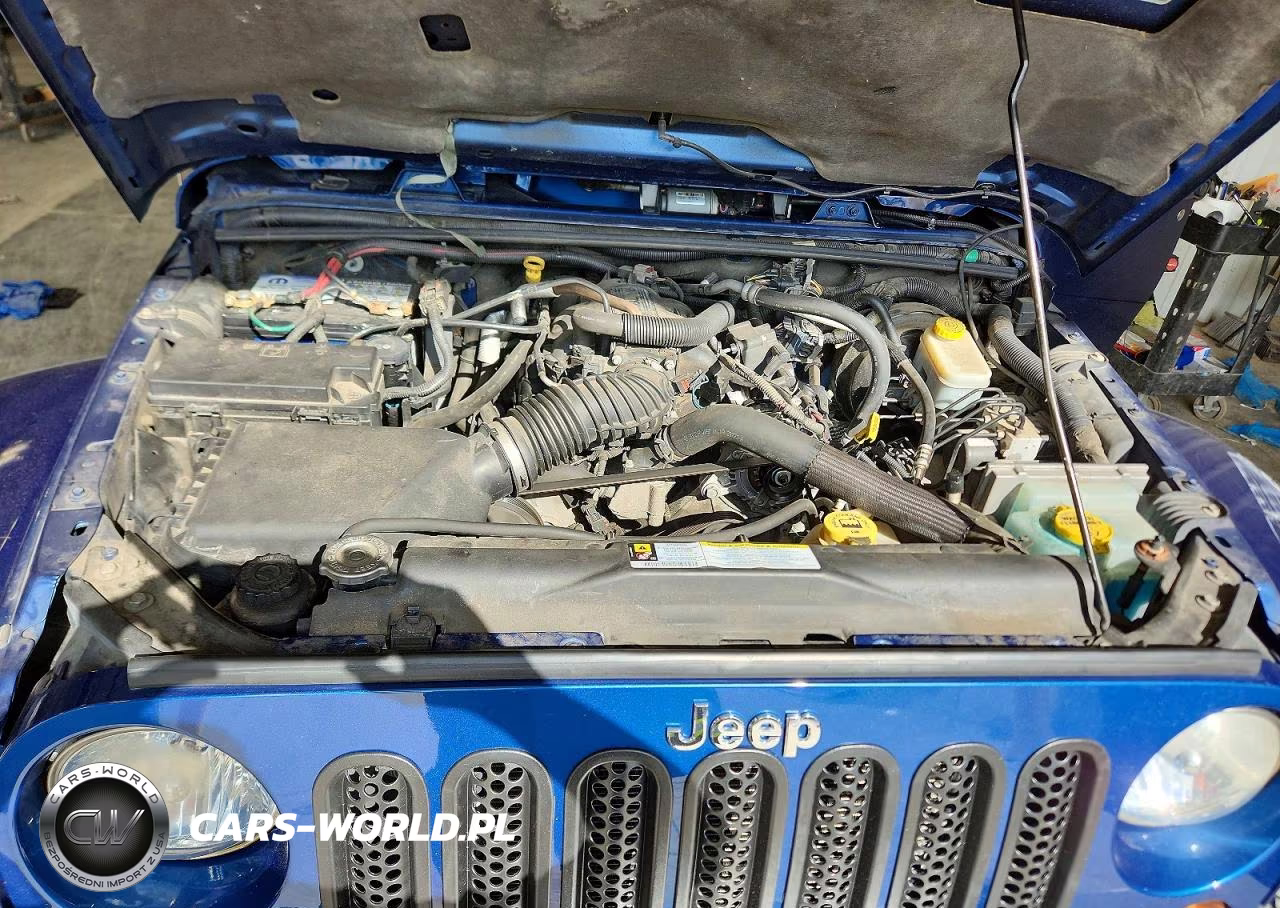 2009 Jeep Wrangler - Tj Se VIN:1J8FA54189L788375 - 11