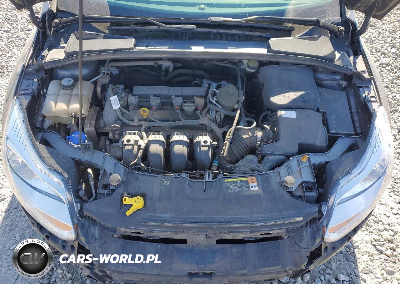 2013 Ford Focus Se VIN:1FADP3K28DL267734 - 11