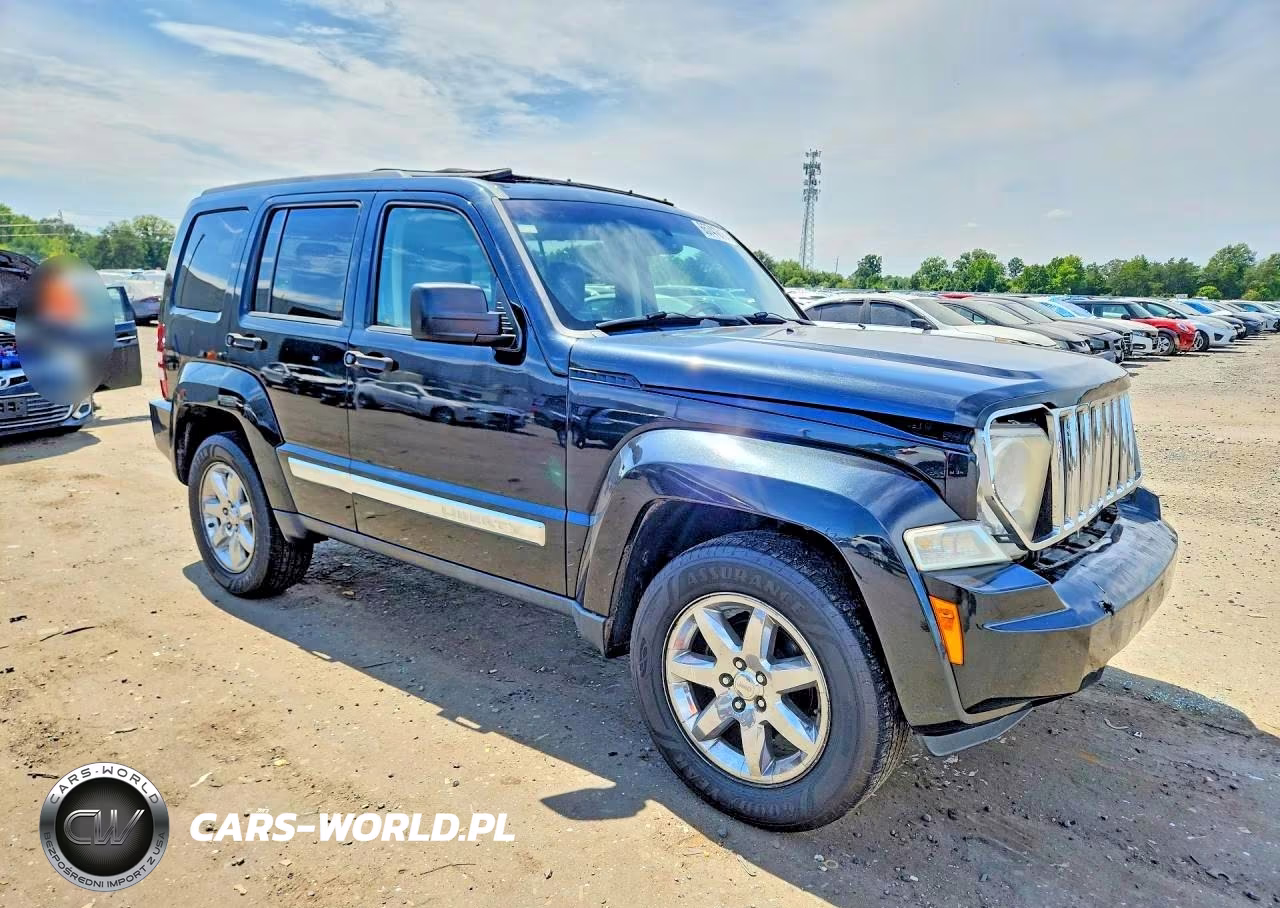 2008 Jeep Liberty Limited VIN:1J8GN58K38W176142 - 4