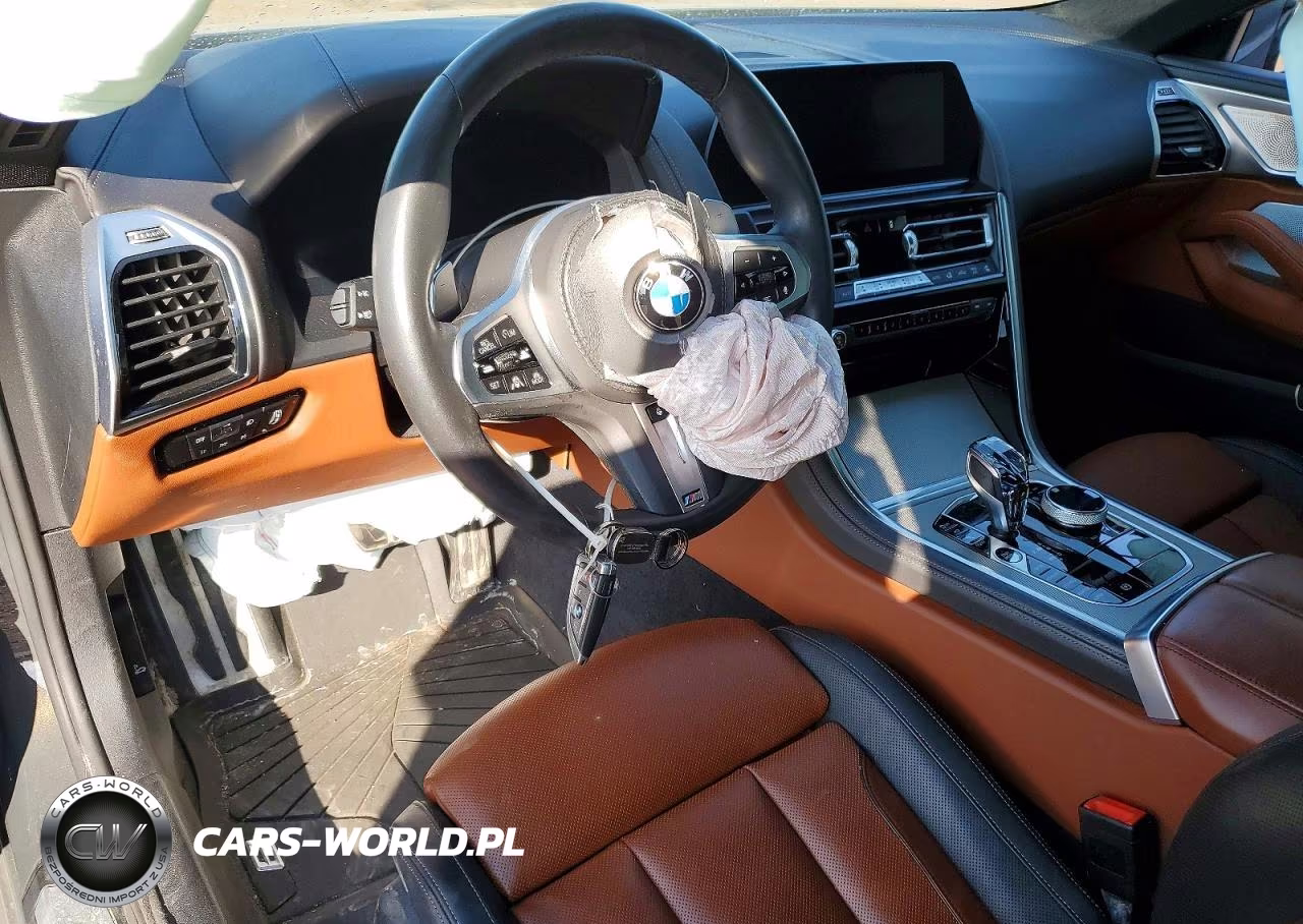 2019 BMW M850Xi VIN:WBABC4C53KBU96785 - 8