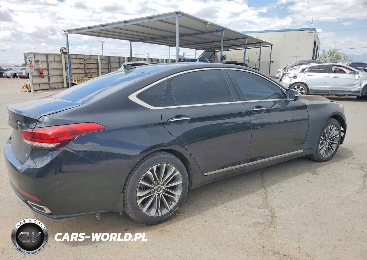 2016 Hyundai Genesis 3.8L VIN:KMHGN4JE1GU128232 - 3