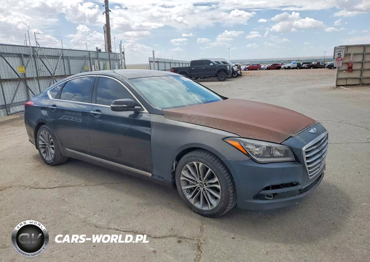 2016 Hyundai Genesis 3.8L VIN:KMHGN4JE1GU128232 - 4