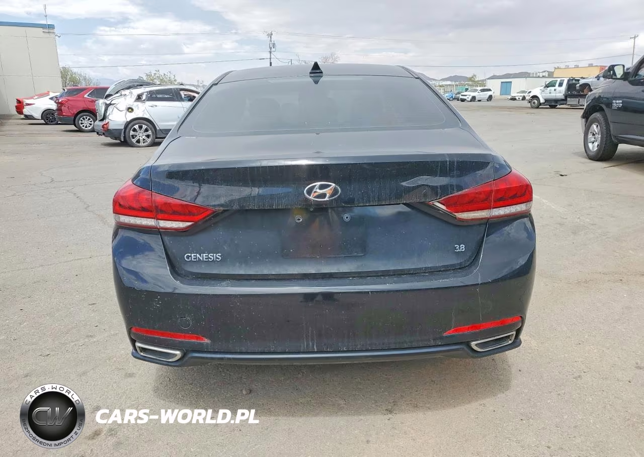 2016 Hyundai Genesis 3.8L VIN:KMHGN4JE1GU128232 - 6