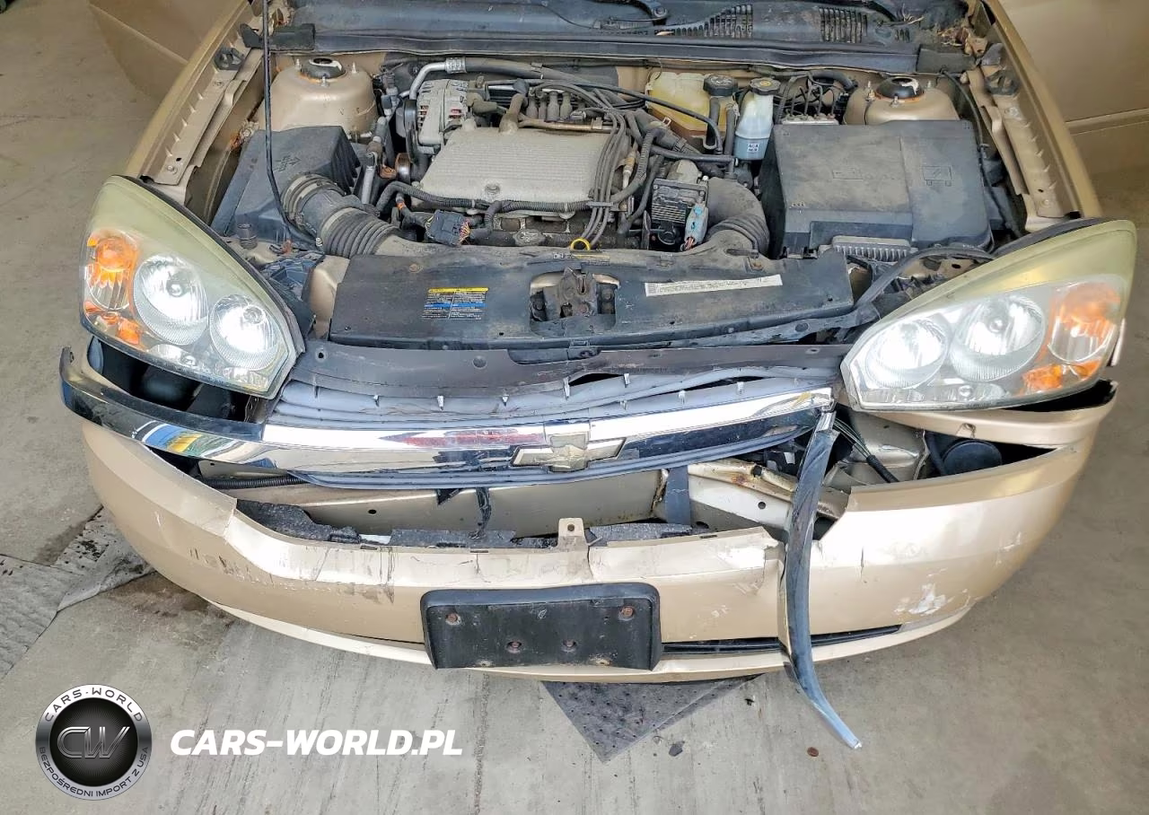 2004 Chevrolet Malibu Maxx Lt VIN:1G1ZU64894F147122 - 12