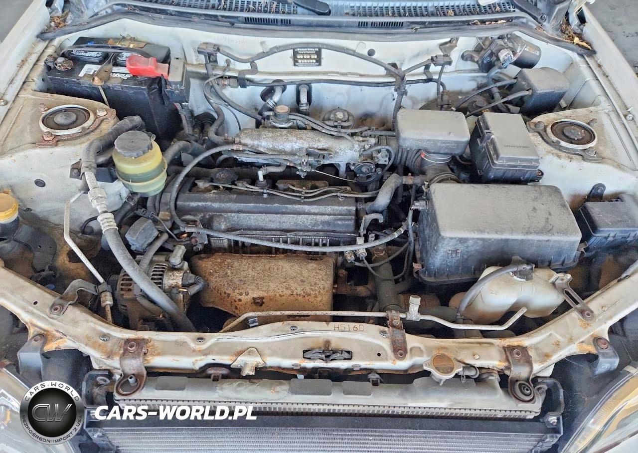 1999 Toyota Rav4 Base VIN:JT3HP10V8X7144157 - 11