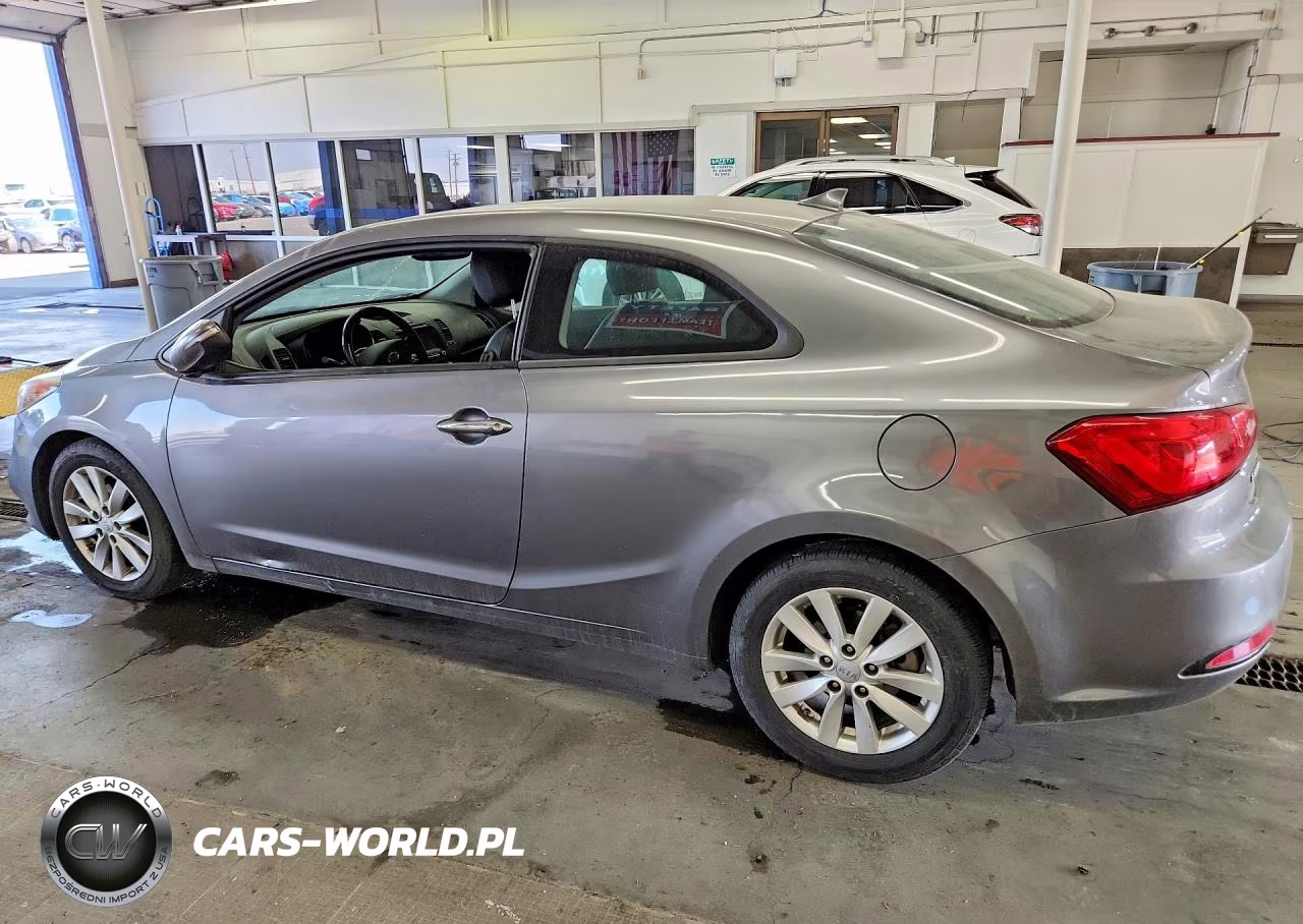 2016 Kia Forte VIN:KNAFX6A87G5598255 - 2
