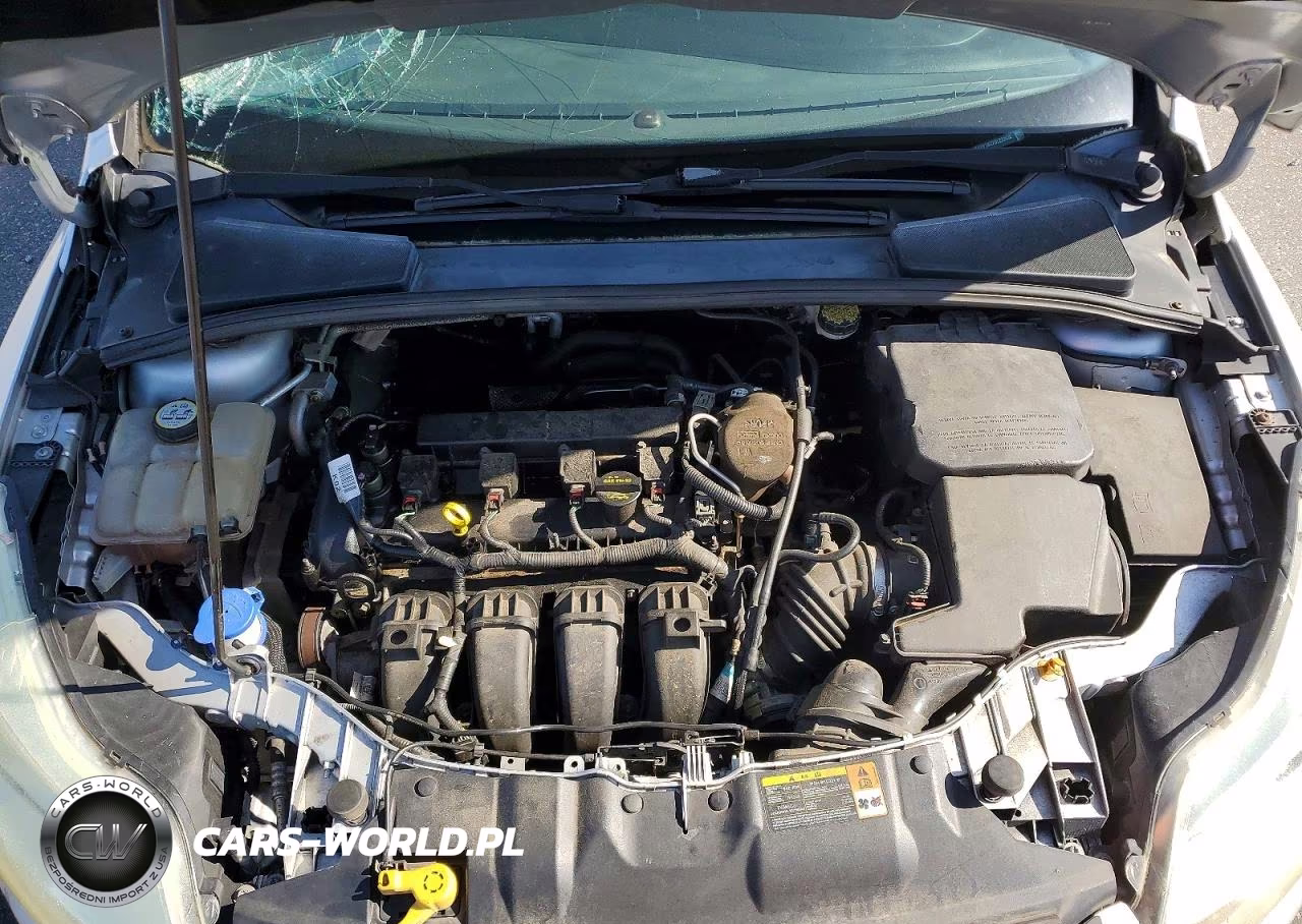 2013 Ford Focus Se VIN:1FADP3K22DL222630 - 11