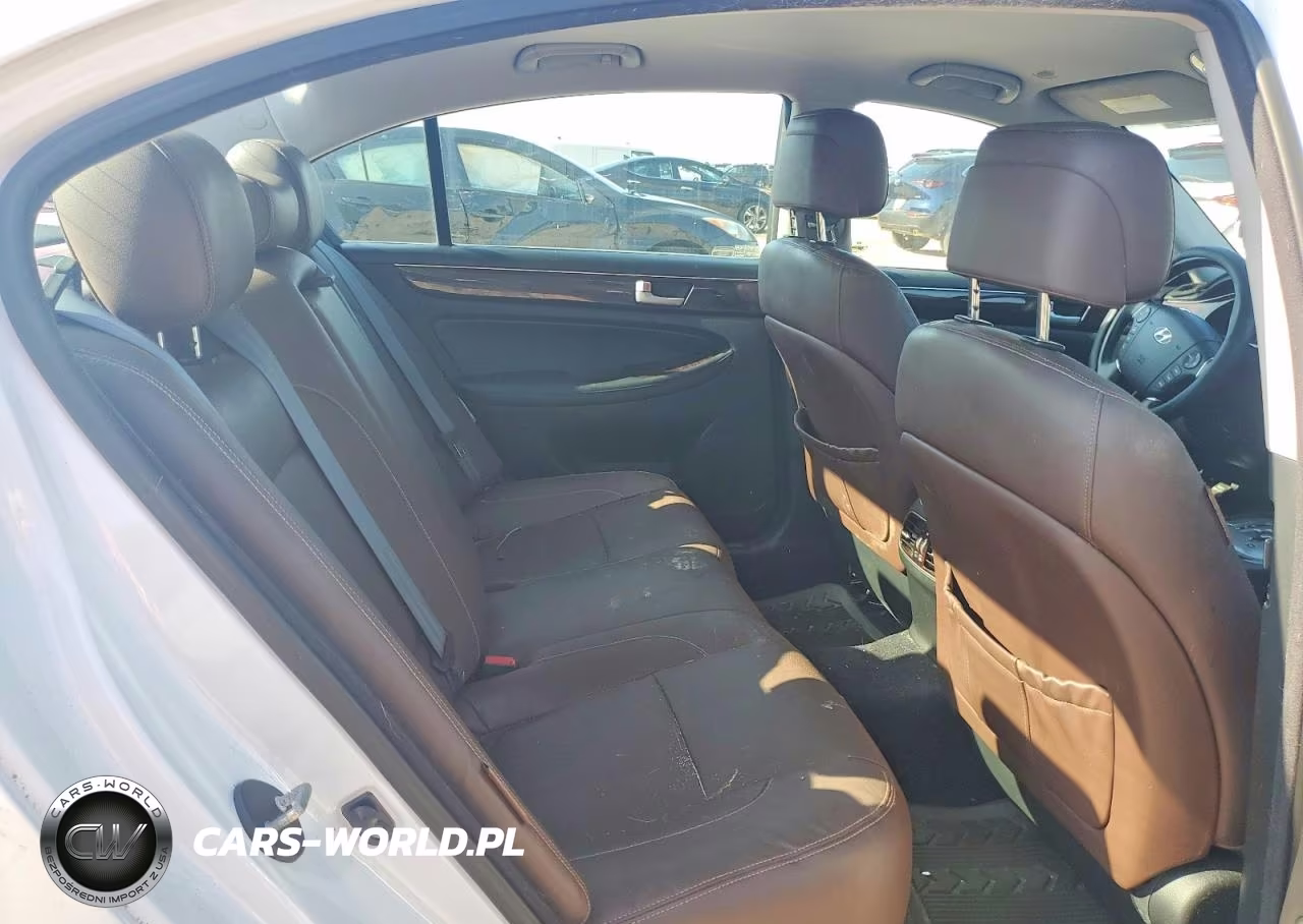 2014 Hyundai Genesis 3.8L VIN:KMHGC4DD5EU264367 - 10