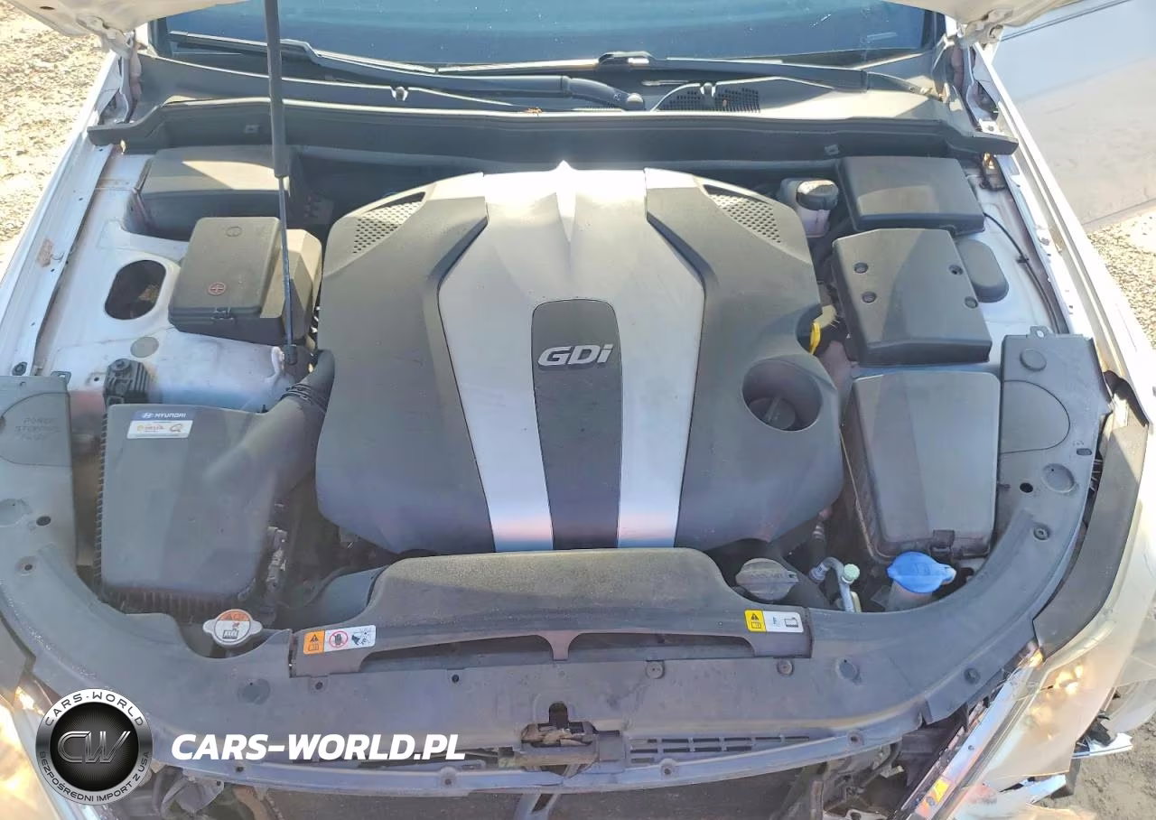 2014 Hyundai Genesis 3.8L VIN:KMHGC4DD5EU264367 - 11
