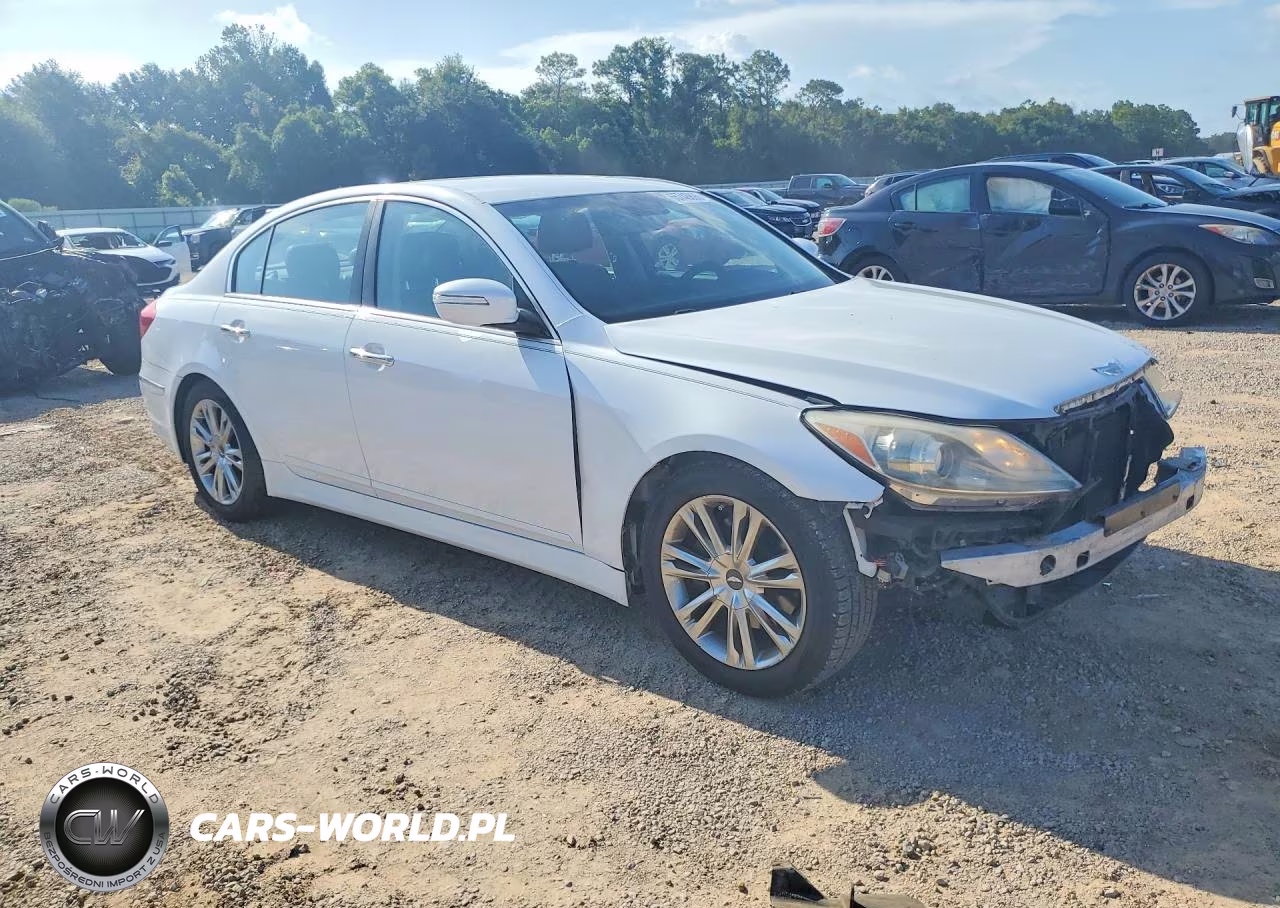 2014 Hyundai Genesis 3.8L VIN:KMHGC4DD5EU264367 - 4