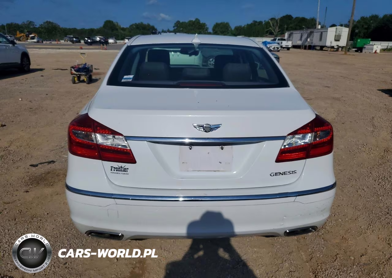 2014 Hyundai Genesis 3.8L VIN:KMHGC4DD5EU264367 - 6