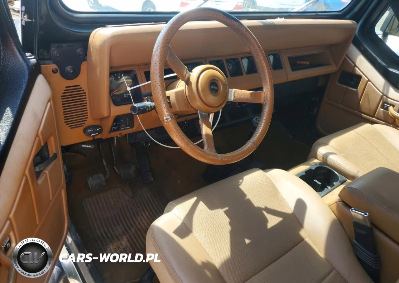 1995 Jeep Wrangler - Yj S VIN:1J4FY19P3SP258915 - 8