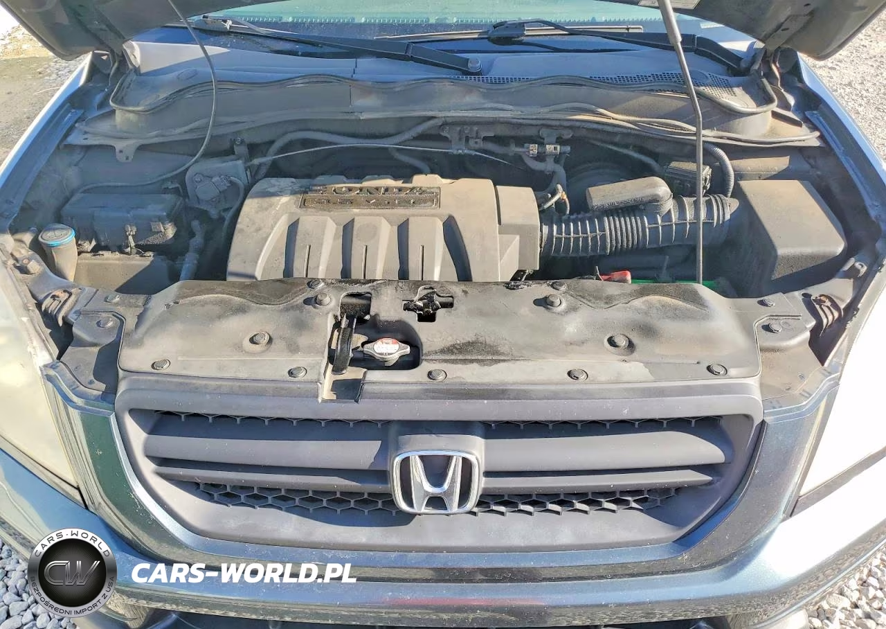 2005 Honda Pilot Exl VIN:5FNYF18545B068463 - 12