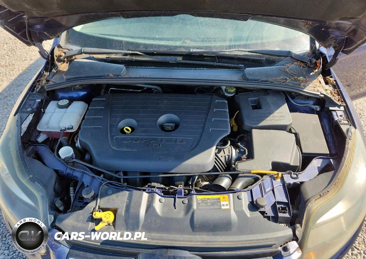 2012 Ford Focus Titanium VIN:1FAHP3N24CL111024 - 11