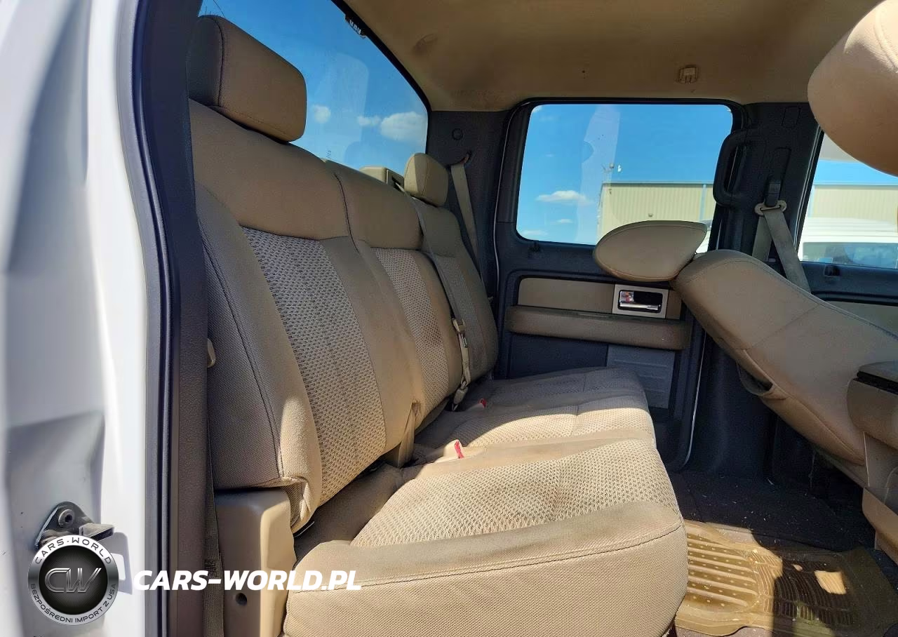 2009 Ford F150 Supercrew VIN:1FTRW12889FA33126 - 10