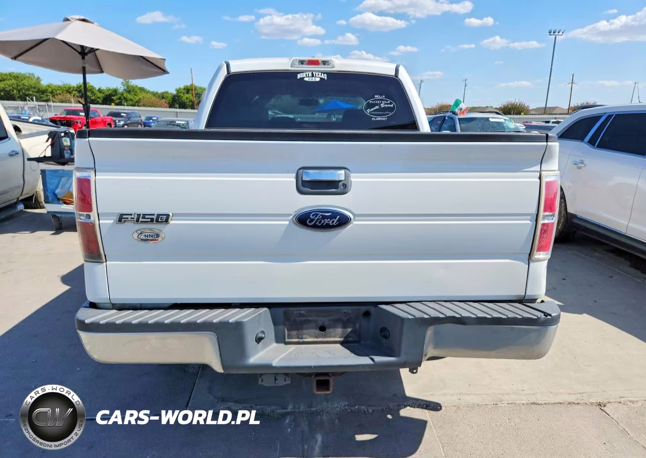 2009 Ford F150 Supercrew VIN:1FTRW12889FA33126 - 6