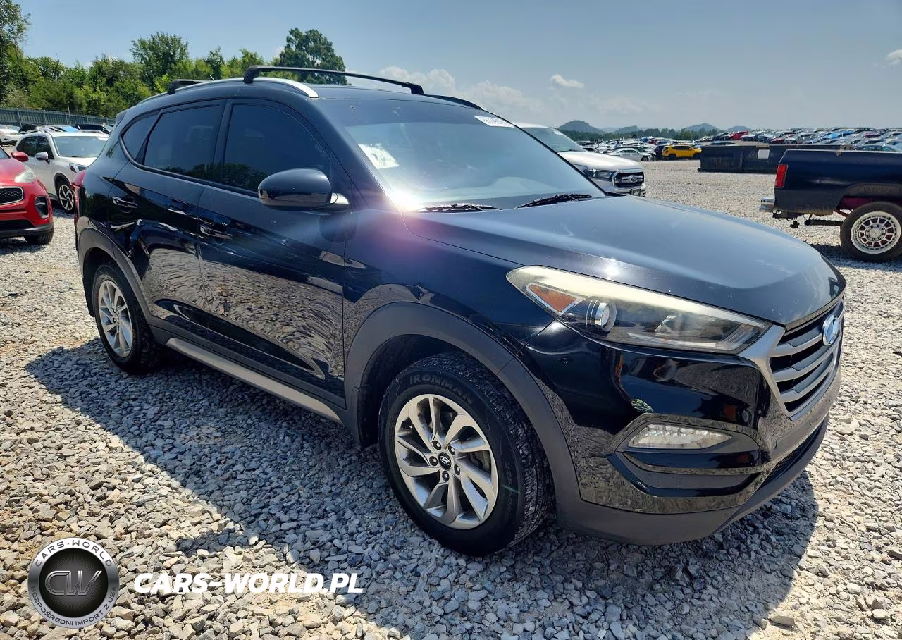 2017 Hyundai Tucson Se VIN:KM8J3CA4XHU262204 - 4
