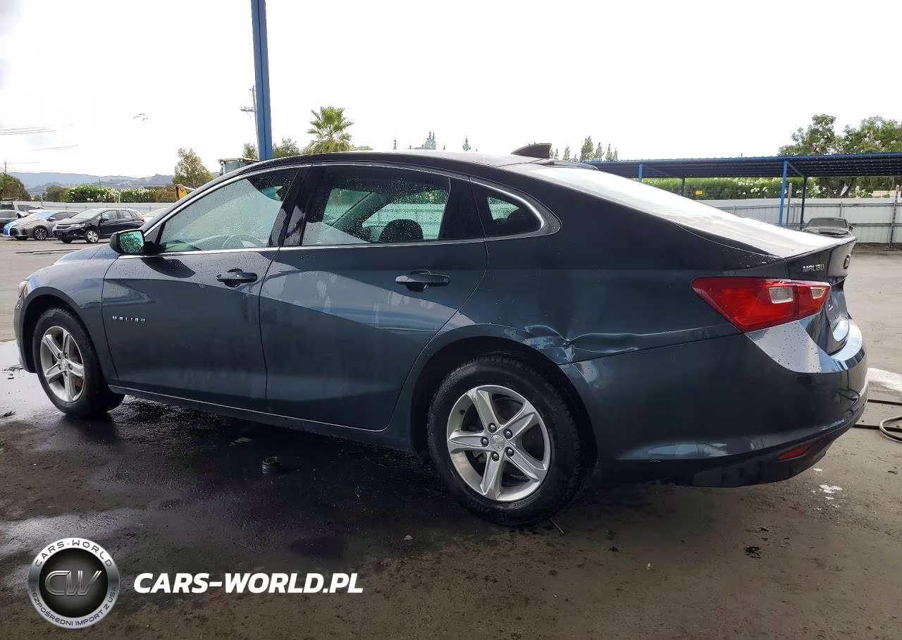 2019 Chevrolet Malibu Ls VIN:1G1ZB5ST9KF156567 - 2
