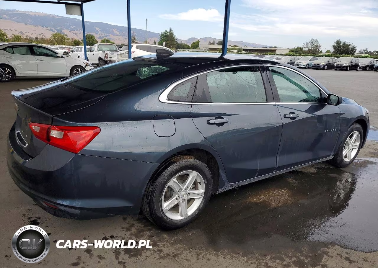 2019 Chevrolet Malibu Ls VIN:1G1ZB5ST9KF156567 - 3