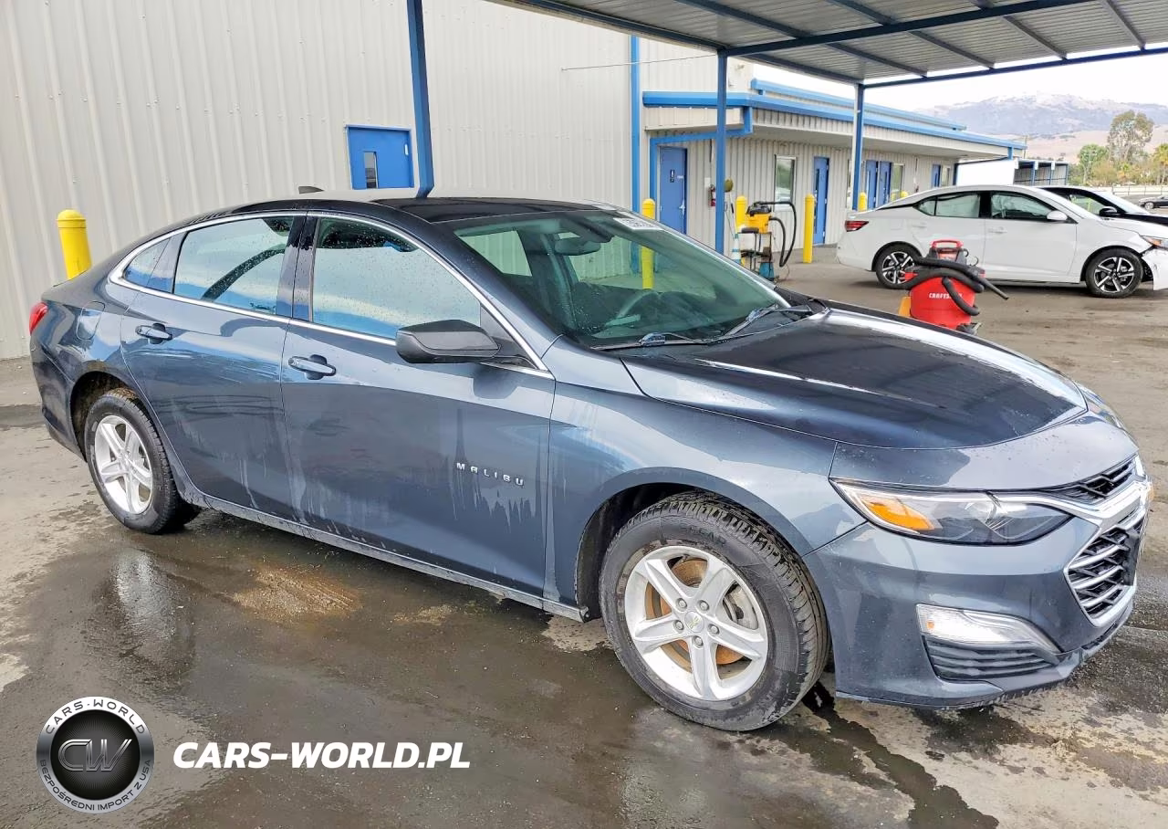 2019 Chevrolet Malibu Ls VIN:1G1ZB5ST9KF156567 - 4
