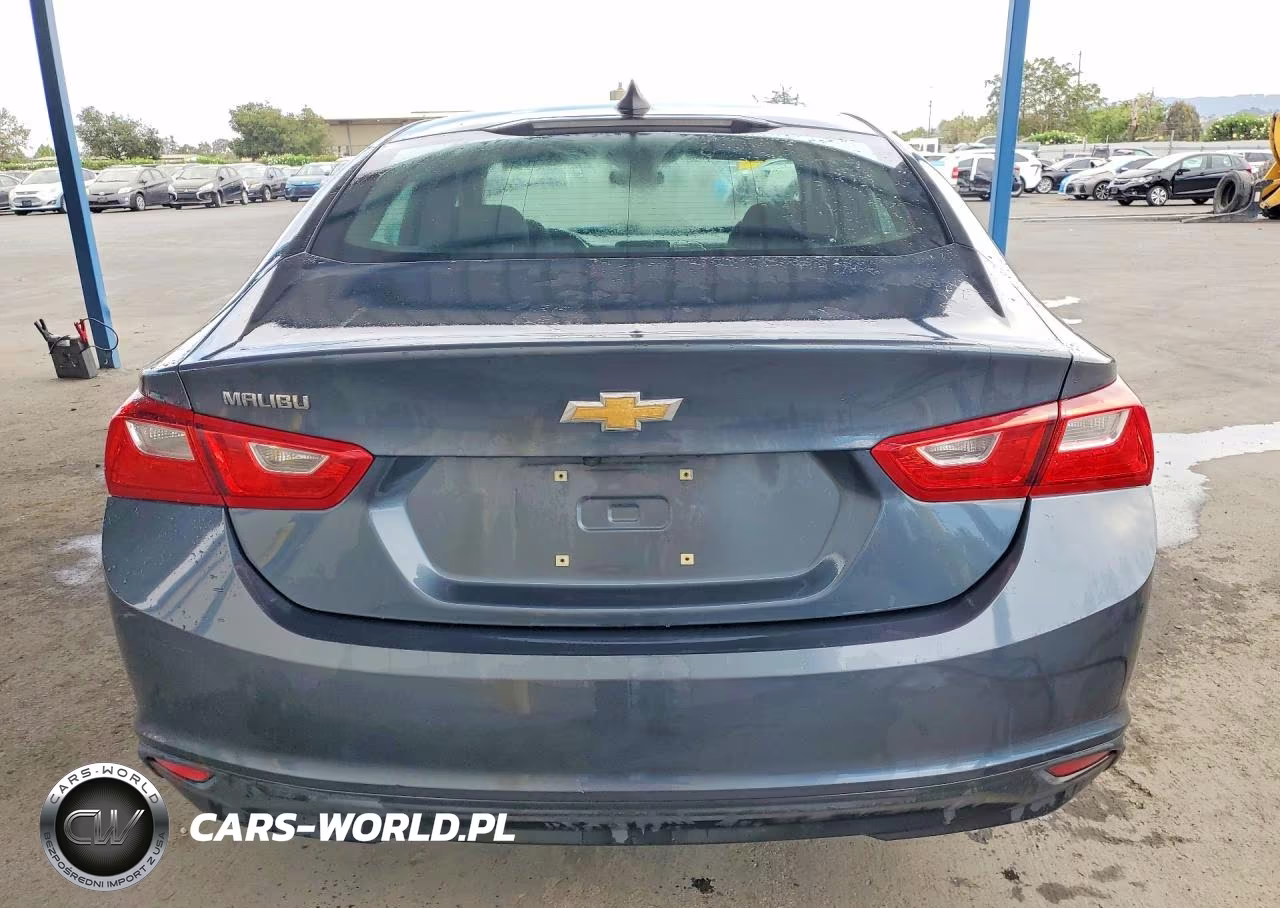 2019 Chevrolet Malibu Ls VIN:1G1ZB5ST9KF156567 - 6