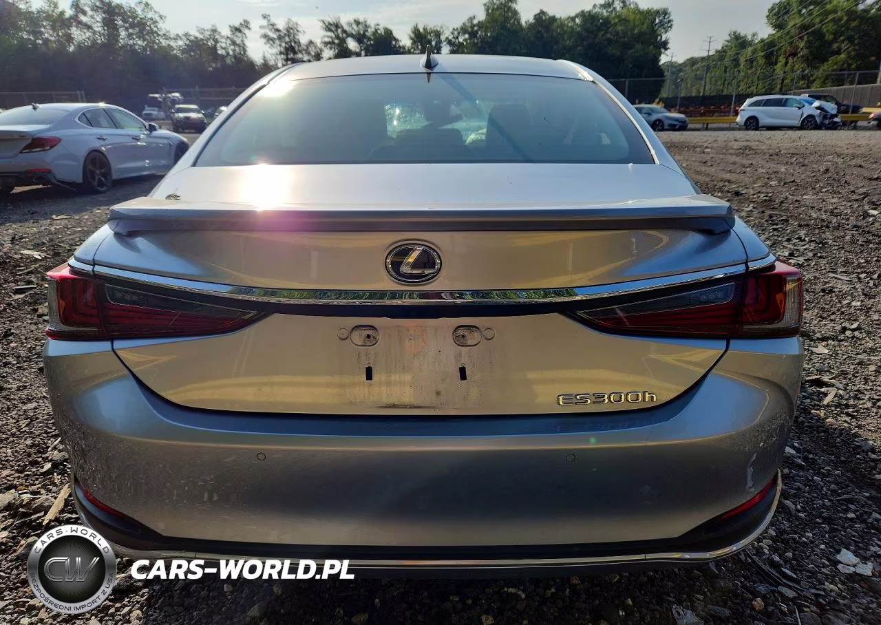 2024 Lexus Es 300H Base VIN:58ADA1C12RU045444 - 6
