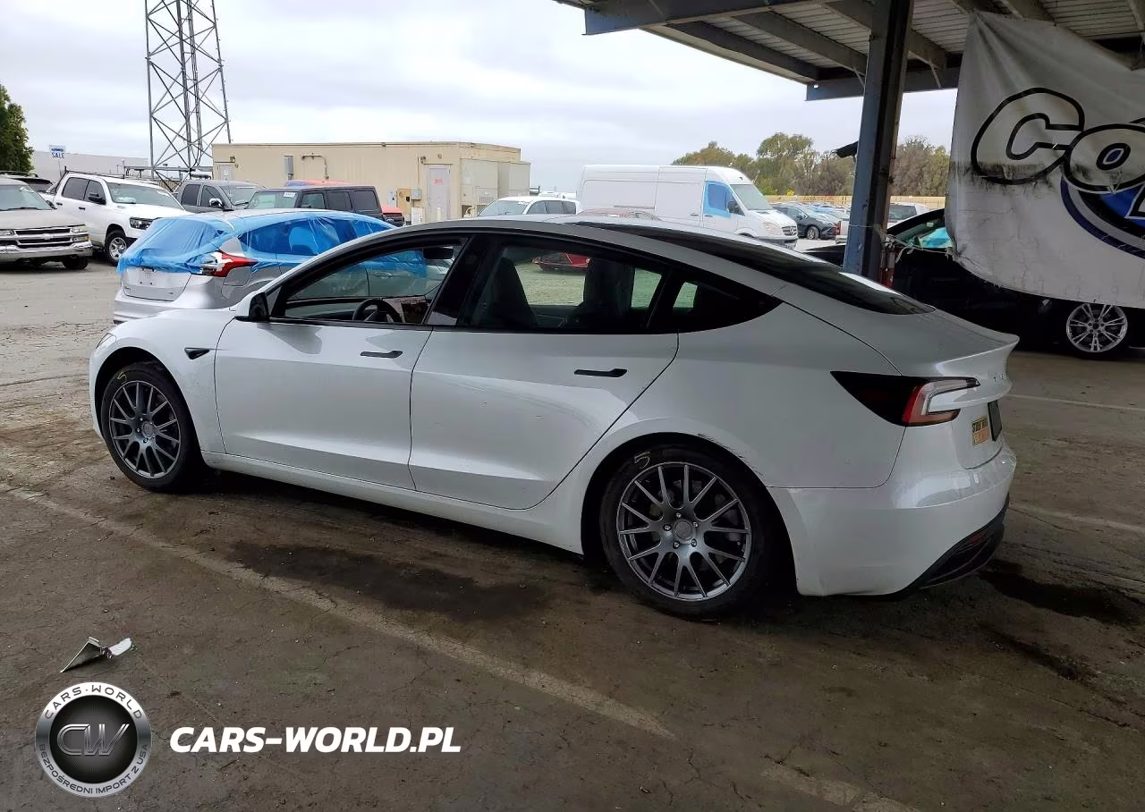 2025 Tesla Model 3 VIN:5YJ3E1EA8SF123121 - 2