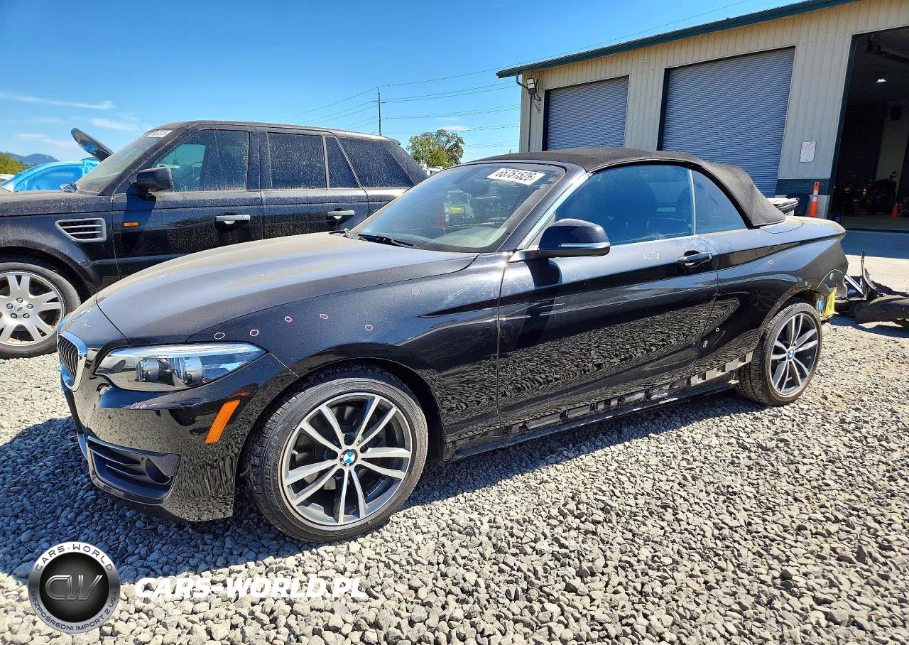 2018 BMW 230Xi VIN:WBA2K1C55JVB64686 - 1