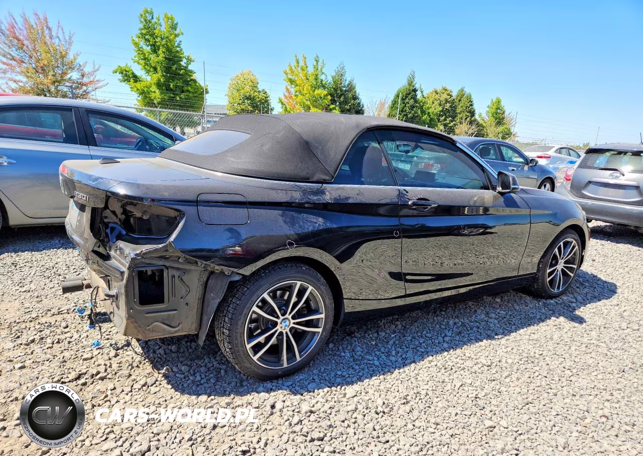 2018 BMW 230Xi VIN:WBA2K1C55JVB64686 - 3