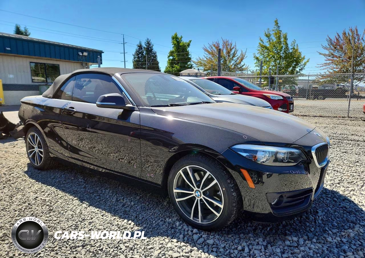 2018 BMW 230Xi VIN:WBA2K1C55JVB64686 - 4