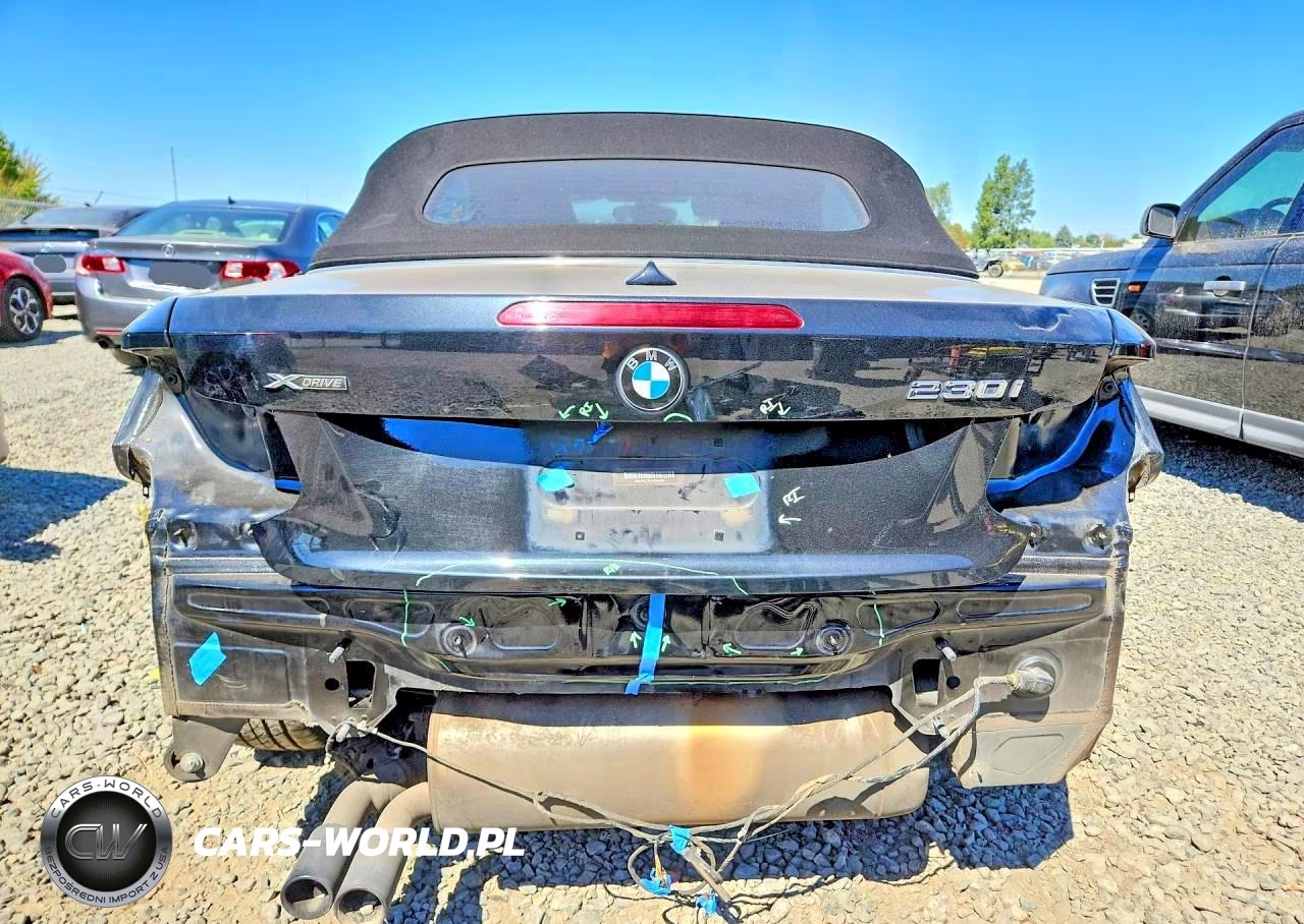 2018 BMW 230Xi VIN:WBA2K1C55JVB64686 - 6