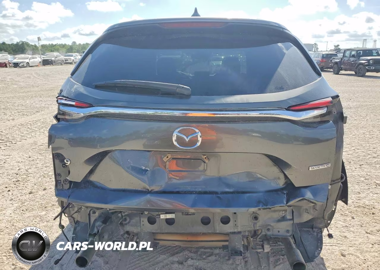 2020 Mazda Cx-9 Touring VIN:JM3TCACY8L0418958 - 6