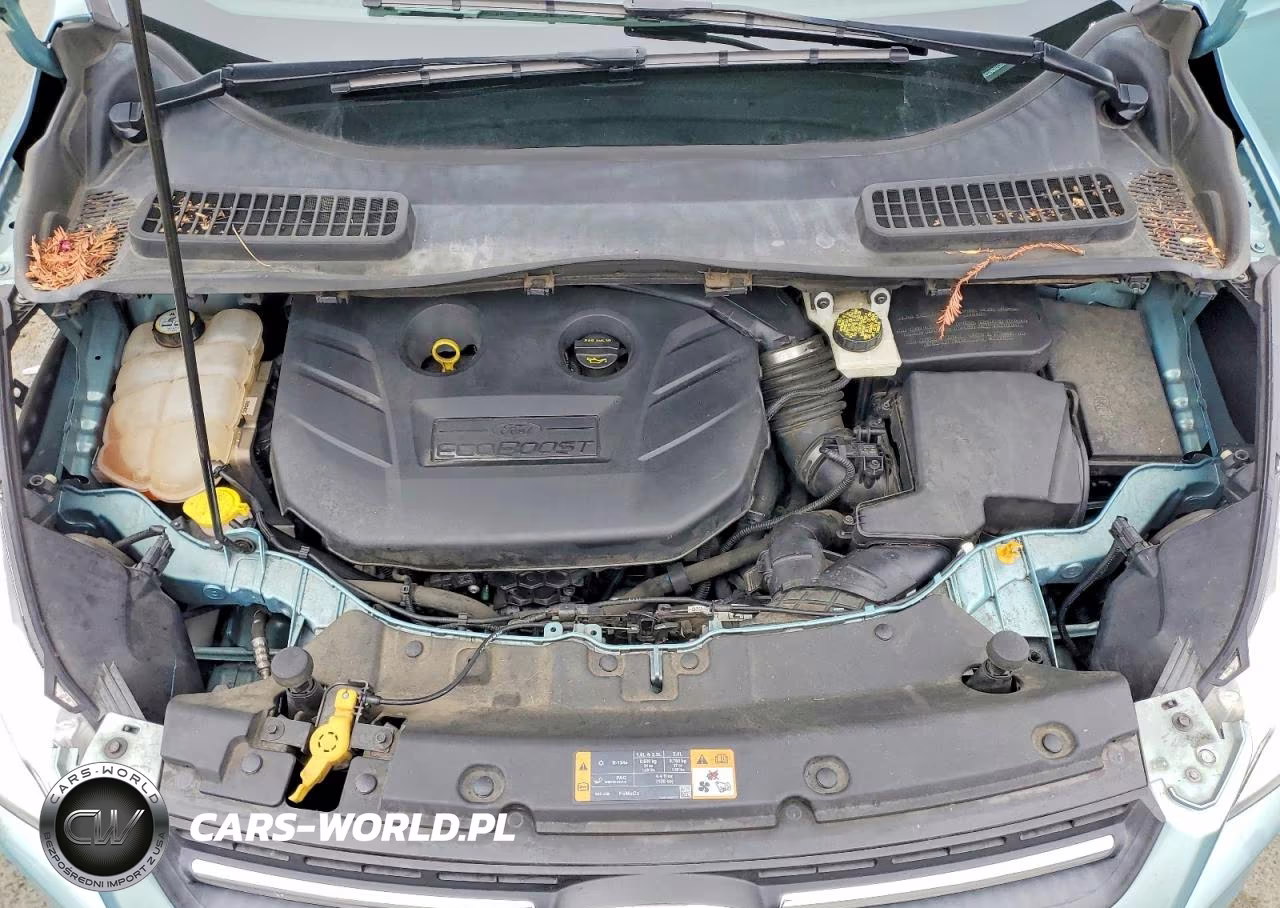 2013 Ford Escape Se VIN:1FMCU9G92DUB97192 - 12