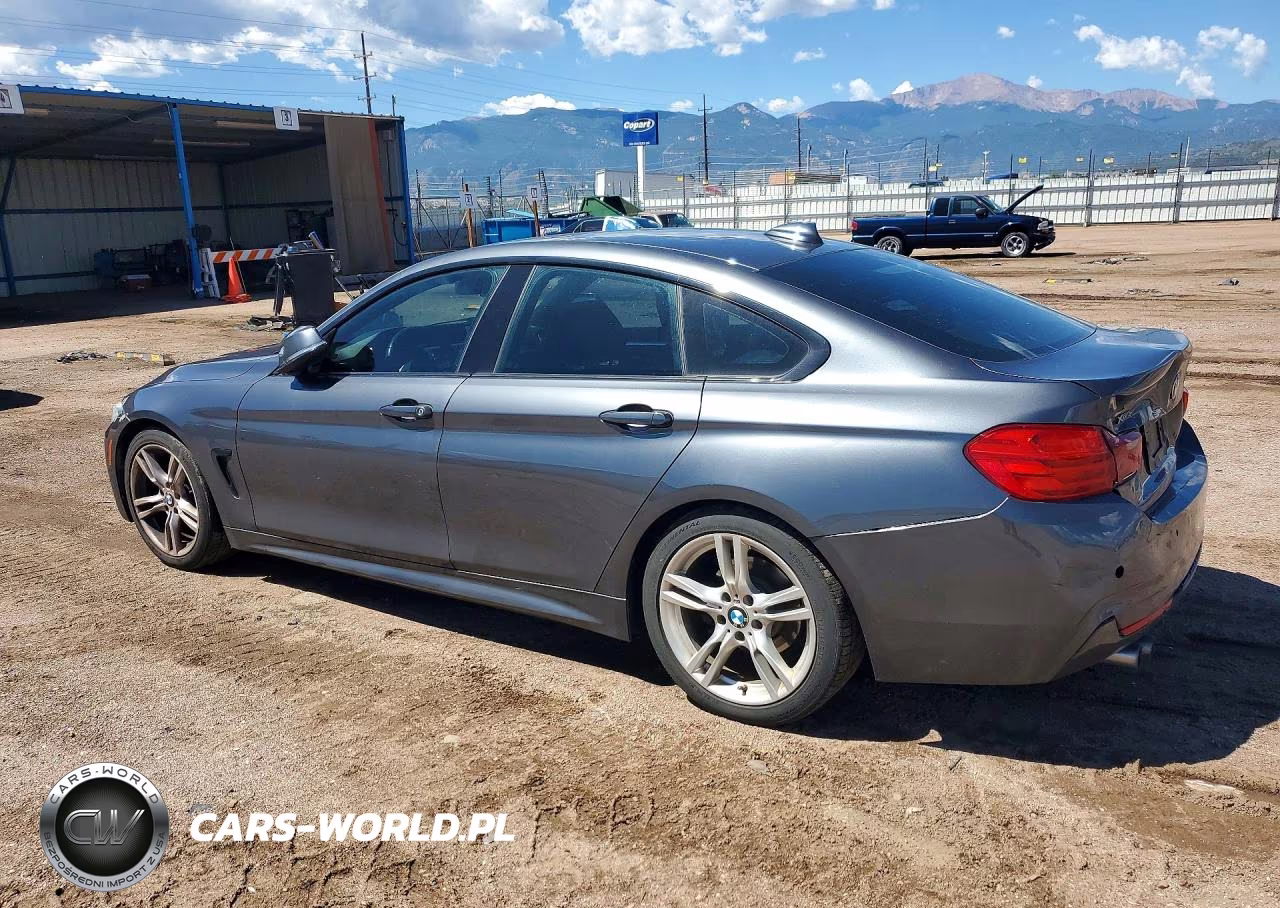 2015 BMW 428 Xi Gran Coupe VIN:WBA4A7C55FD415313 - 2