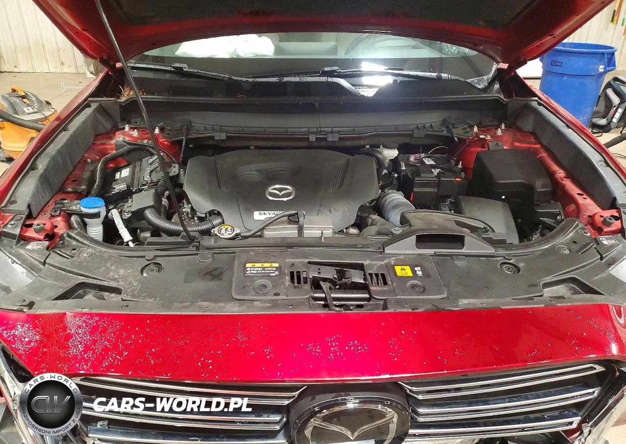 2022 Mazda Cx-9 Grand Touring VIN:JM3TCBDYXN0610308 - 12
