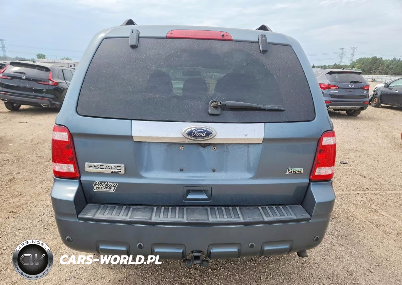 2010 Ford Escape Limited VIN:1FMCU0EGXAKA32608 - 6