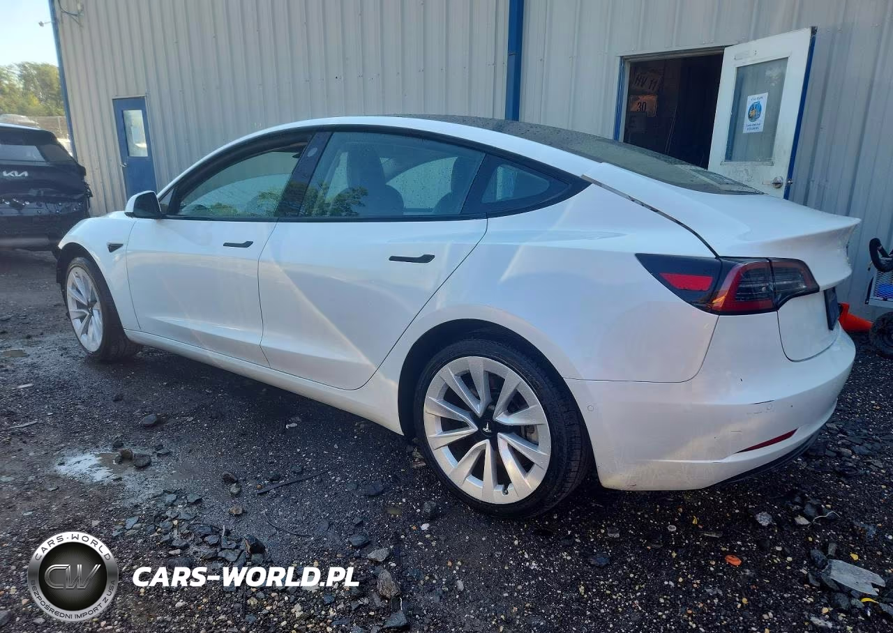2022 Tesla Model 3 VIN:5YJ3E1EA2NF368971 - 2