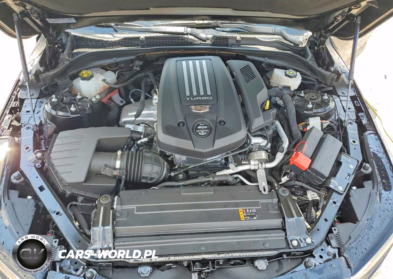 2023 Cadillac Ct4 Premium Luxury VIN:1G6DF5RL4P0104367 - 11