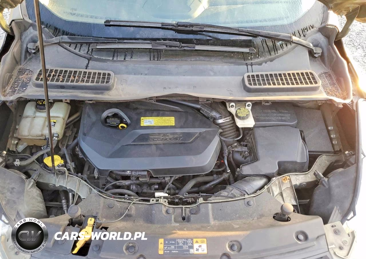 2013 Ford Escape Se VIN:1FMCU0GX0DUD75059 - 11