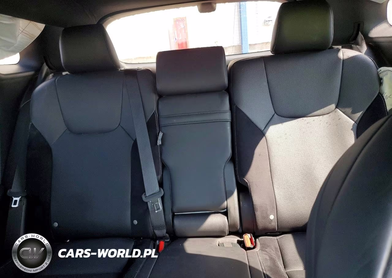 2023 Lexus Rx 500H F Sport VIN:2T2BCMEA2PC003258 - 10