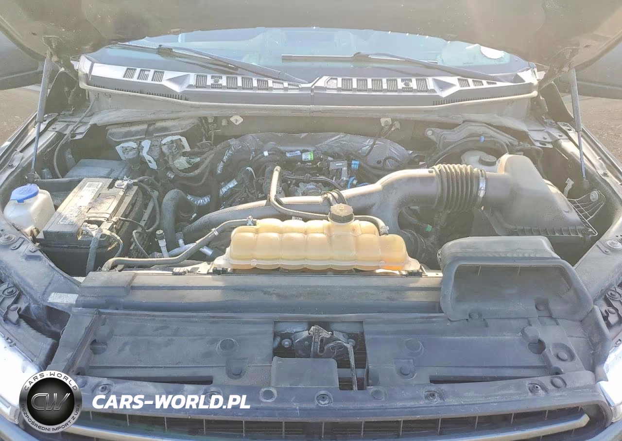 2020 Ford F150 Supercrew VIN:1FTEW1EP3LKD86681 - 11