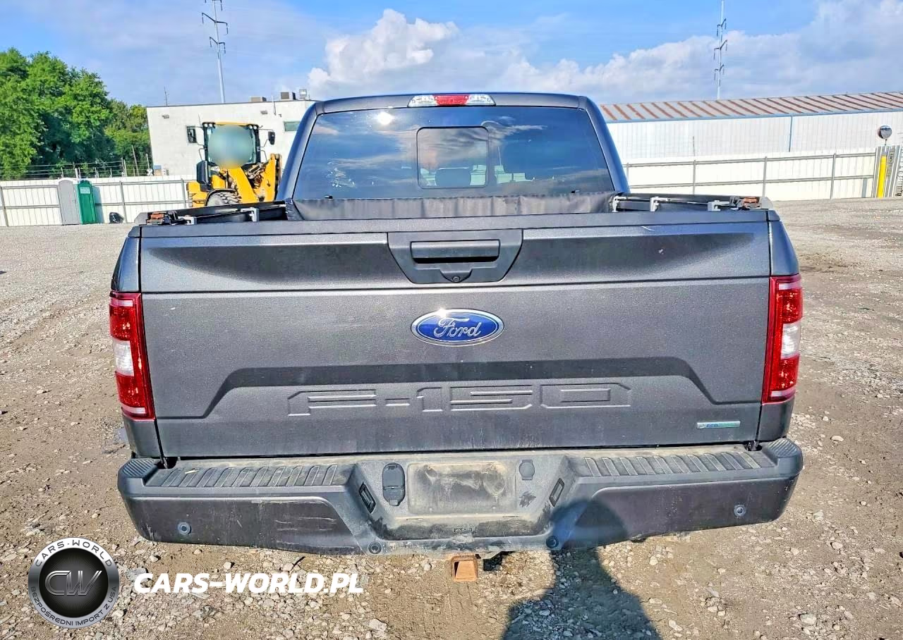 2020 Ford F150 Supercrew VIN:1FTEW1EP3LKD86681 - 6